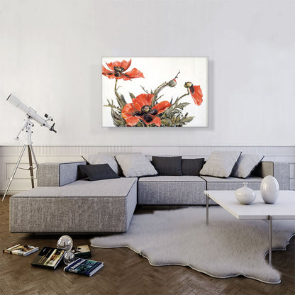 Red Poppies 1929