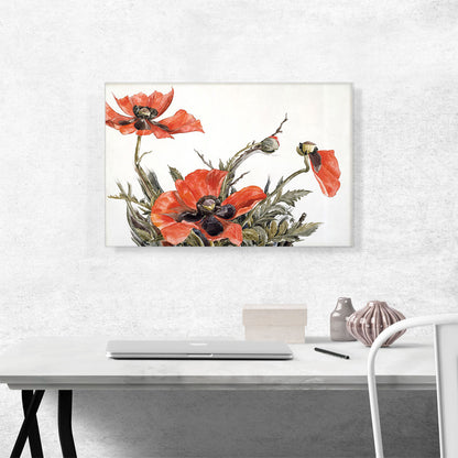 Red Poppies 1929