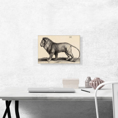 A Lion Standing