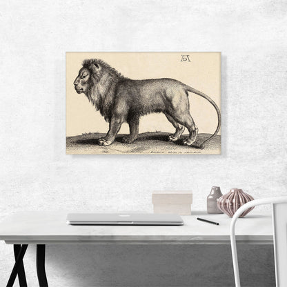 A Lion Standing
