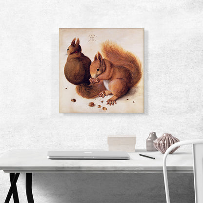 Squirrels 1512