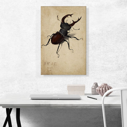Stag Beetle 1505