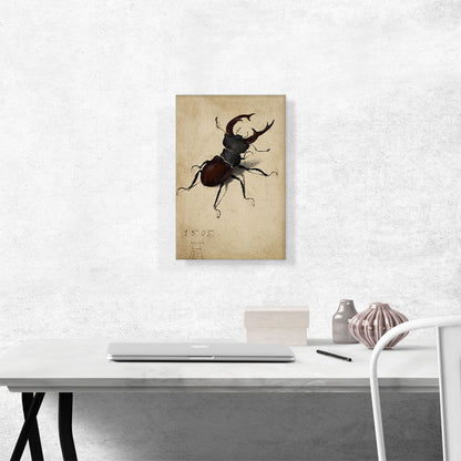 Stag Beetle 1505