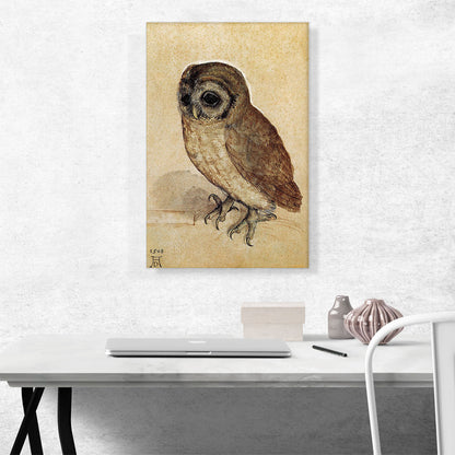 The Little Owl-1506
