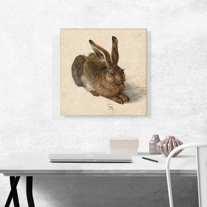 Young Hare 1502