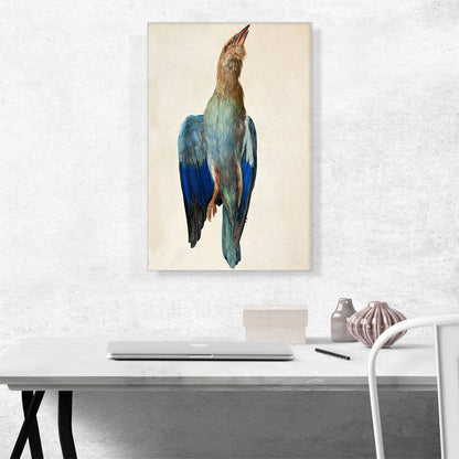 Dead Bluebird - Blue Roller 1512