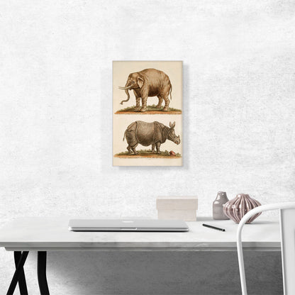 Elephant and Rhinoceros
