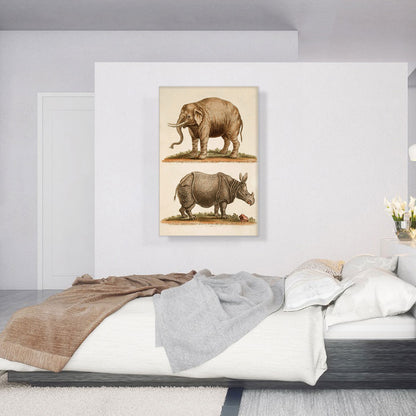 Elephant and Rhinoceros
