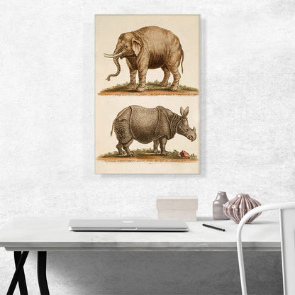 Elephant and Rhinoceros