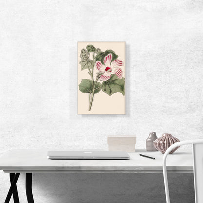 Tropical Hibiscus Flower