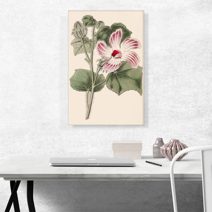 Tropical Hibiscus Flower
