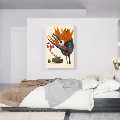 Bird Of Paradise 1806