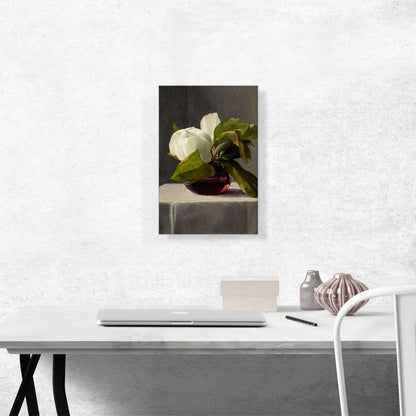 Magnolia 1859