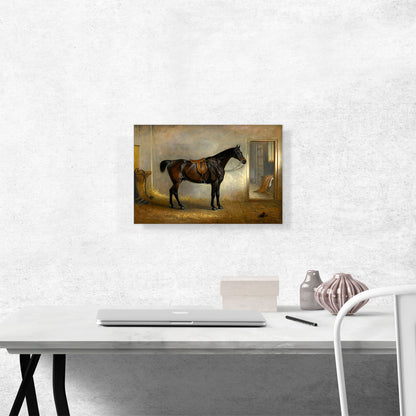 A saddled Dark Bay Hunter in a Loose Box 1848
