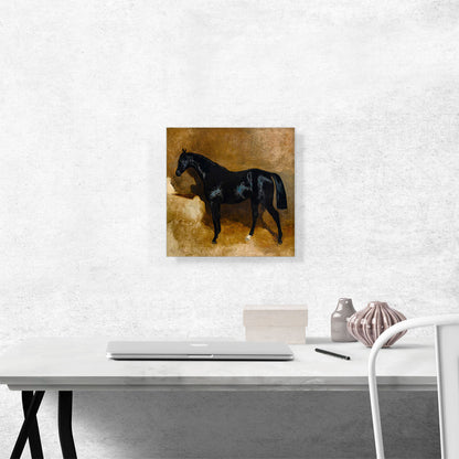 Horse In a Stable