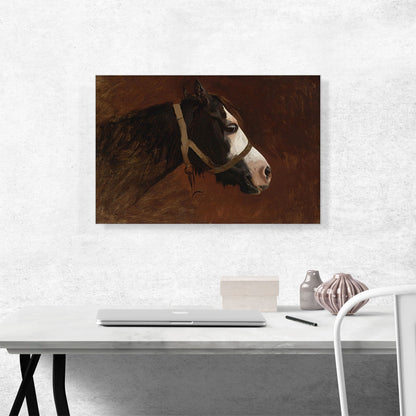 Profile Of a Horse