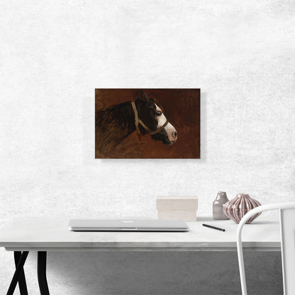 Profile Of a Horse