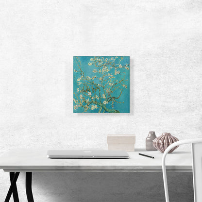 Branches with Almond Blossom - Teal Square 1890