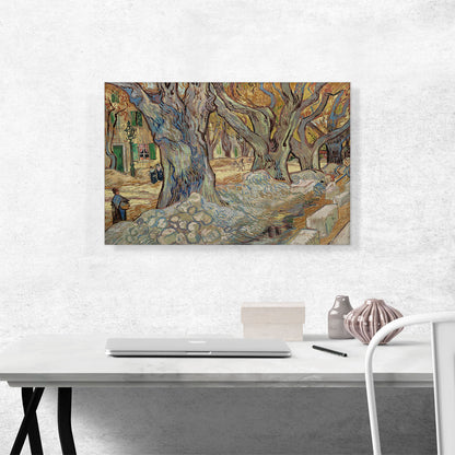 Large Plane Trees 1889