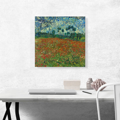 Poppy Field 1890