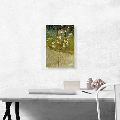 Almond Tree in Blossom 1888