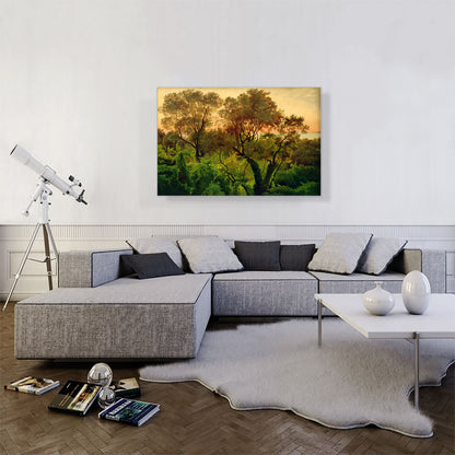 Slope With Olive Trees