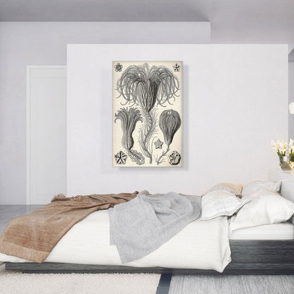 Crinoidea Marine Animals Flagellates