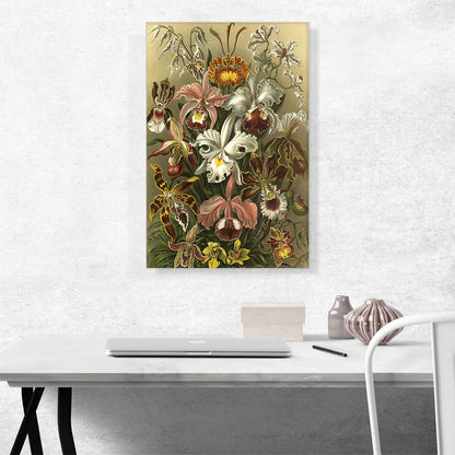 Orchids Flower Flowering Plants