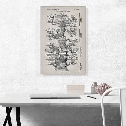 Tree Of Life From The Evolution Of Man