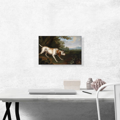 Hunting Dog