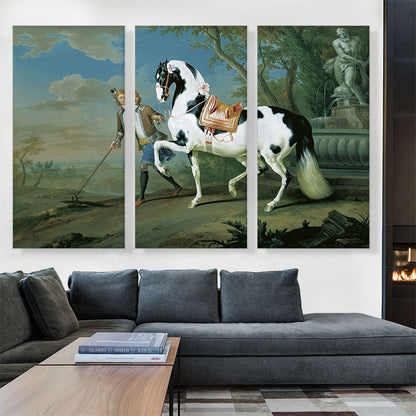 Man Leading Black White Horse
