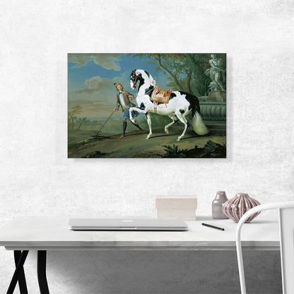 Man Leading Black White Horse