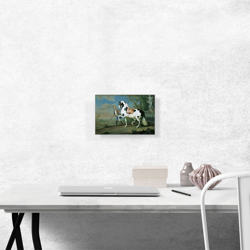 Man Leading Black White Horse