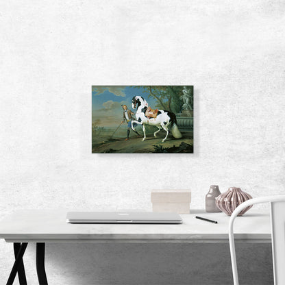 Man Leading Black White Horse