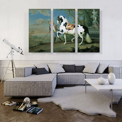 Man Leading Black White Horse