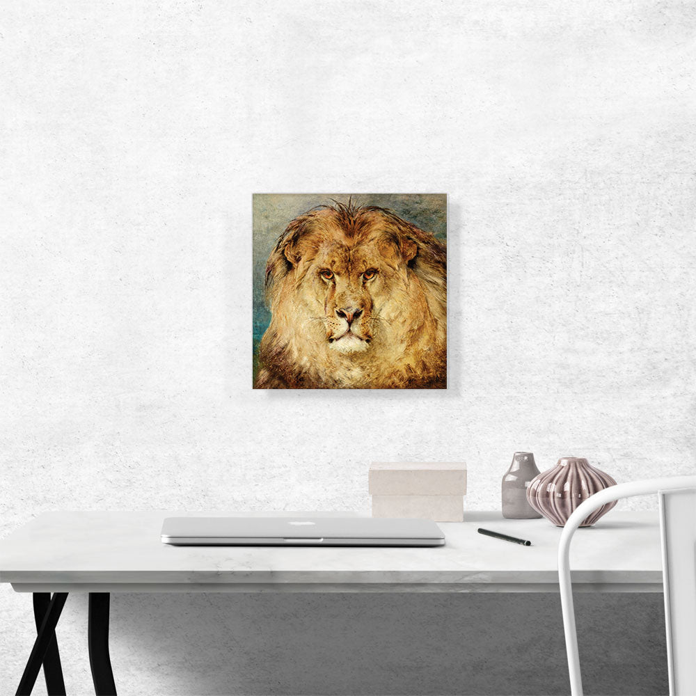 A Lion's Head