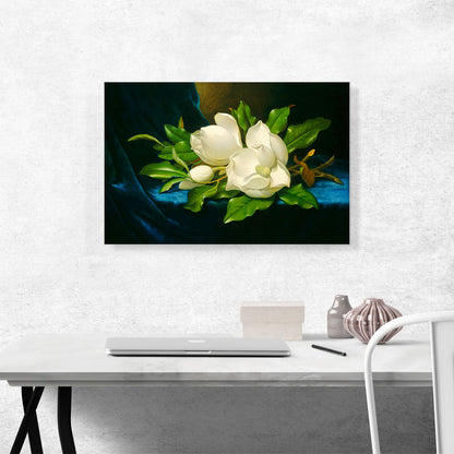Magnolias on a Blue Velvet Cloth 1890