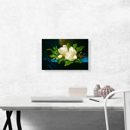 Magnolias on a Blue Velvet Cloth 1890