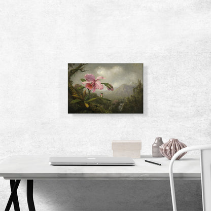 Orchid and Hummingbird near a Waterfall