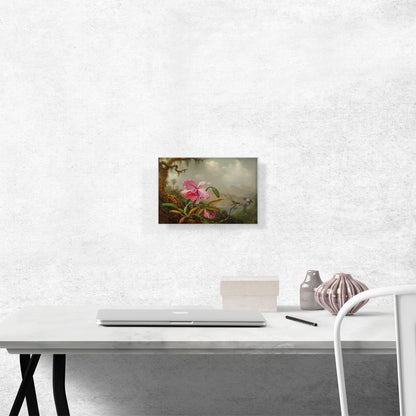 Orchids and Hummingbirds 1890