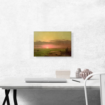 Sunset Marshland