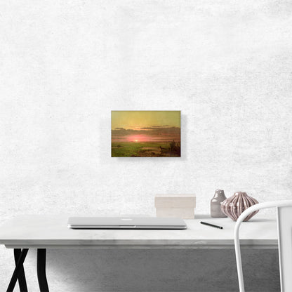 Sunset Marshland