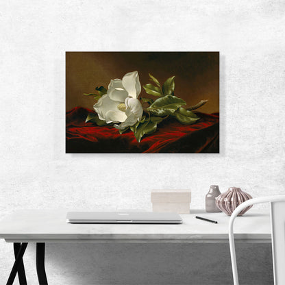 A Magnolia On Red Velvet 1885