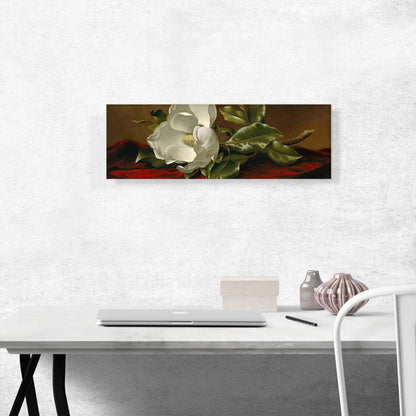 A Magnolia On Red Velvet Panoramic