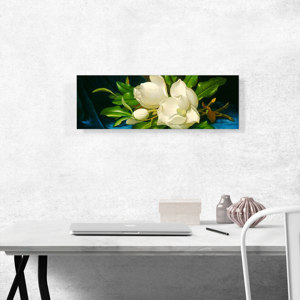 Magnolias on a Blue Velvet Cloth Panoramic