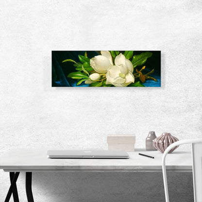 Magnolias on a Blue Velvet Cloth Panoramic