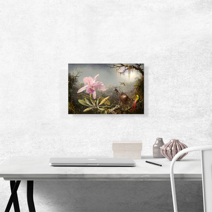 Cattleya Orchid and Three Hummingbirds 1871