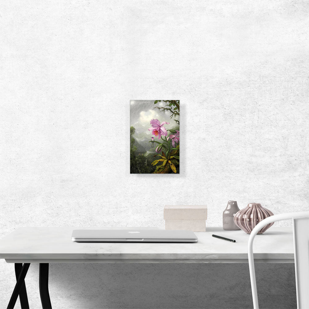 Hummingbird Perched on the Orchid Plant 1901