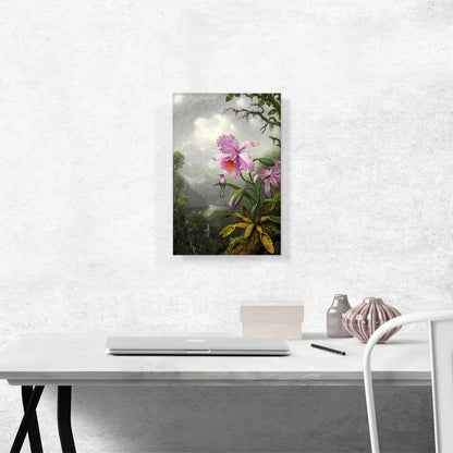 Hummingbird Perched on the Orchid Plant 1901