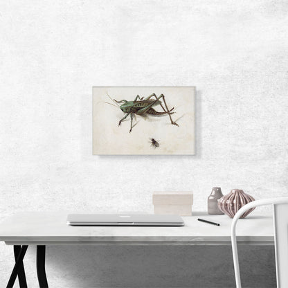 A Grasshopper Beneath Which a Fly 1580